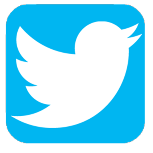 Twitter icon